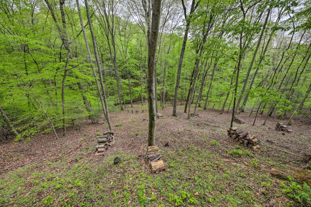 Peaceful Blue Ridge Cabin With Decks And Fire Pit ภายนอก รูปภาพ